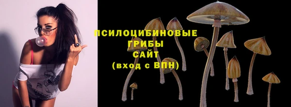 экстази Баксан